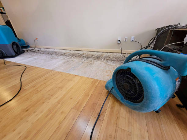 Professional Water Damage Repair technician working in Stone Creek, OH